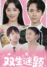 双生谜题（36集）高清画质免费看