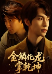 金lin化龙掌乾坤（54集）短剧排行榜