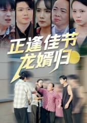 正逢佳节龙婿归（42集）番茄短剧看全集