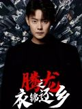 腾龙之衣锦还乡（30集）短剧热门推荐