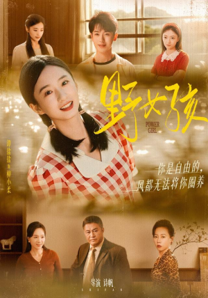 野女孩（91集）短剧