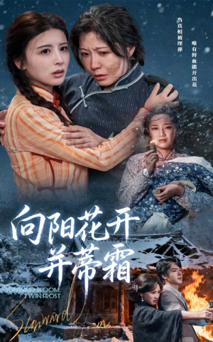 向阳花开并蒂霜（60集）全部免费看全集