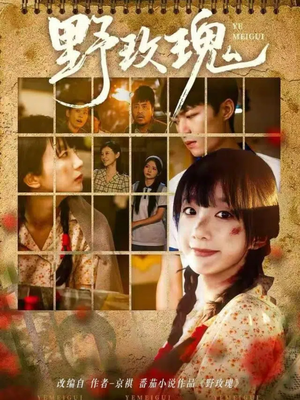 野玫瑰(82集) 野玫瑰(82集)精彩短剧合集