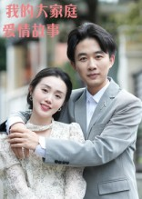 我的大家庭爱情故事（15集）热门了短剧