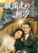 被偷走的潮汐（60集）短剧太好看