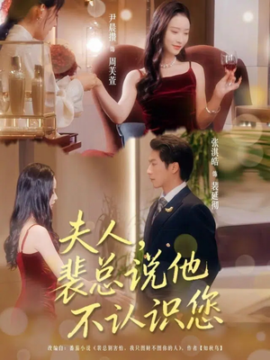 夫人裴总说他不认识您（75集）短剧追不停