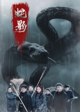 蛇影(25集) 蛇影(25集)好看的短剧来了