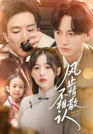 风止情散不相认（74集）热门短剧推广