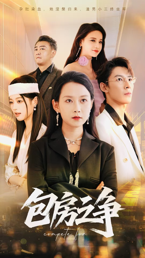包房之争(50集) 包房之争(50集)短剧全集完整版
