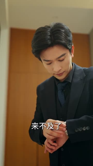 解救厉先生(84集) 解救厉先生(84集)全剧免费观看