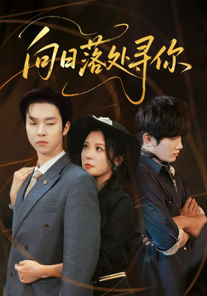 向日落处寻你(70集) 向日落处寻你(70集)熬夜追短剧