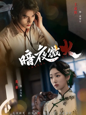 暗夜微火(80集 暗夜微火(80集UC网盘在线看
