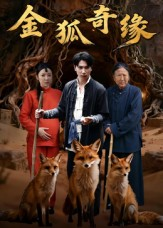 金狐奇缘（42集）精彩短剧热播
