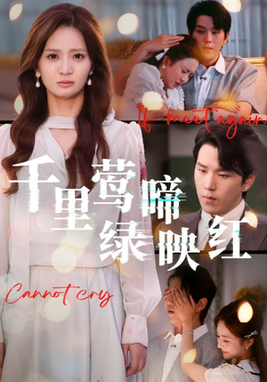 千里莺啼绿映红（63集）全集