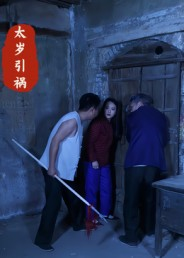 太岁引祸(31集) 太岁引祸(31集)演员表