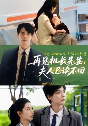 再见机长先生夫人已读不回(62集) 再见机长先生夫人已读不回(62集)全集一次看完