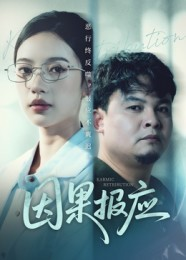 因果报应(30集) 因果报应(30集)解说文案