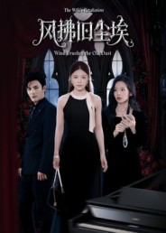 风拂旧尘埃(70集) 风拂旧尘埃(70集)火爆热门短剧