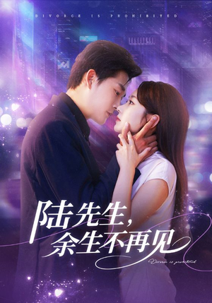 陆先生，余生不再见（88集）一个短剧看全集