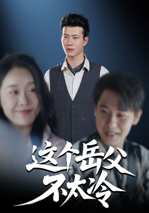 这个岳父不太冷(30集) 这个岳父不太冷(30集)短剧在线观看