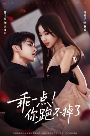 乖一点!你跑不掉了(80集) 乖一点!你跑不掉了(80集)排行榜前十短剧