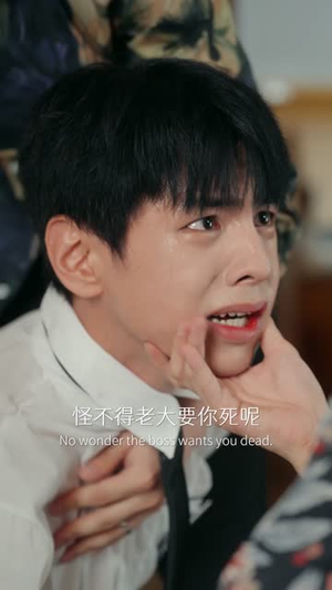 刀口之蜜(46集) 刀口之蜜(46集)好看的国产短剧