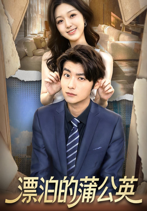 漂泊的蒲公英（60集）短剧有好货推荐