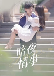 暗夜情事(100集) 暗夜情事(100集)短剧抢先看