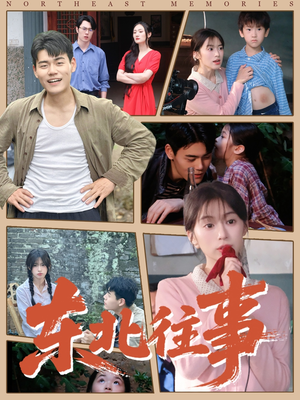 东北往事(60集 ) 东北往事(60集 )超好看短剧推荐