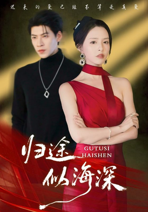 归途似海深（61集）热门火爆短剧