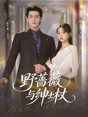 野蔷薇与绅士杖（78集）经典老剧免费看