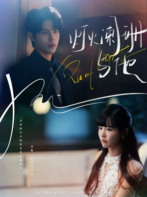 灯火阑珊与他（80集）全集下载