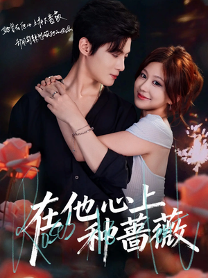 在他心上种蔷薇（81集）火爆短剧抢先看