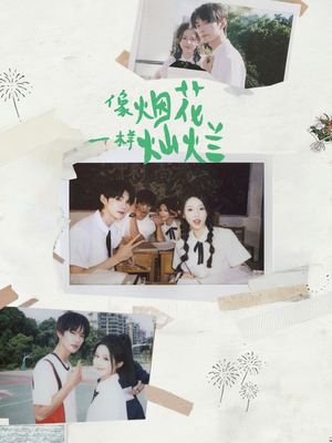 像烟花一样灿烂（60集）短剧越看越精彩