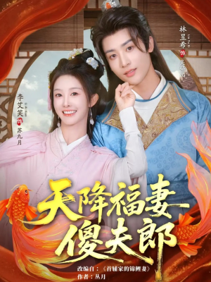 天降福妻傻夫郎(85集) 天降福妻傻夫郎(85集)免费看全集