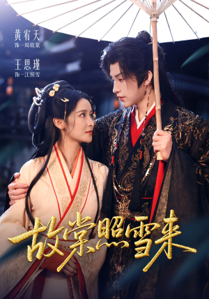 故棠照雪来（100集）常回家看看短剧