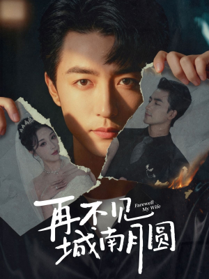 再不见城南月圆(60集) 再不见城南月圆(60集)最新热剧免费看