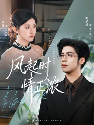风起时情正浓（79集）好看到停不下来