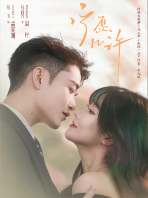 宁愿几许(78集) 宁愿几许(78集)解说