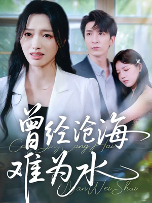 曾经沧海难为水（60集）解说