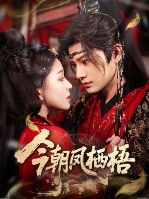 今朝凤栖梧（68集）短剧推荐分享