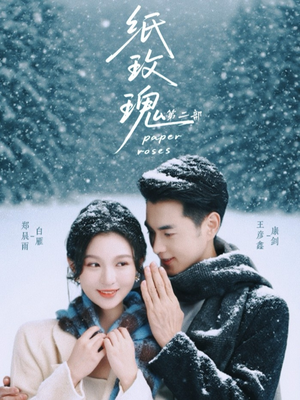 纸玫瑰第二部（80集）红果短剧免费看