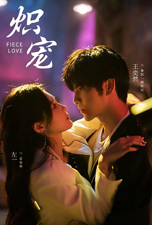 炽宠（78集）全集一网打尽