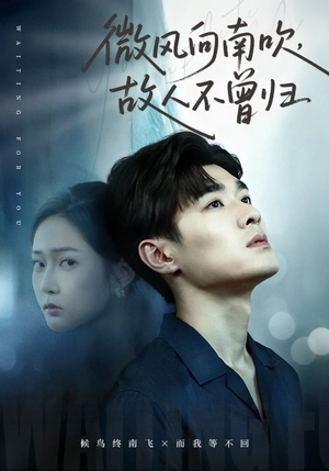 微风向南吹,故人不曾归(72集) 微风向南吹,故人不曾归(72集)最新火爆短剧