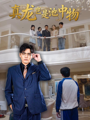 真龙岂是池中物（80集）短剧更新抢先看
