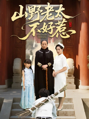 奶奶一脚震全城（64集）海量资源免费看