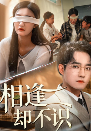 相逢却不识（77集）全网独播免费看