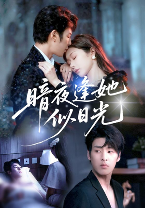 暗夜逢她似日光（72集）短剧推荐上热门