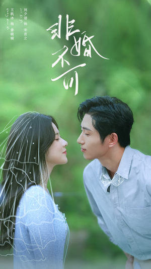 非婚不可(65集) 非婚不可(65集)热播短剧推荐