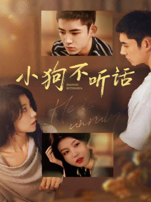 小狗不听话(70集) 小狗不听话(70集)爆火短剧抢先看